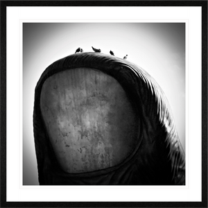 Main image Oiseaux sur pouce