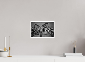 30,2 x 20 cm, Impression seule Zèbres Tanzanie