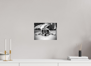 28 x 21 cm, Tirage photo sous plexi mat Chien fatigué