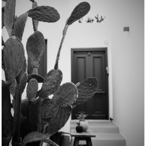 Main image Cactus à Naoussa