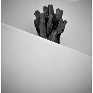 Main image Cactus à Lefkes