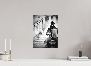 30 x 40 cm, Tirage photo sous plexi mat Chat accordéon