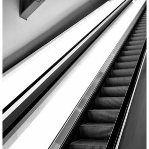 Main image Escalator à la Fondation Louis Vuitton