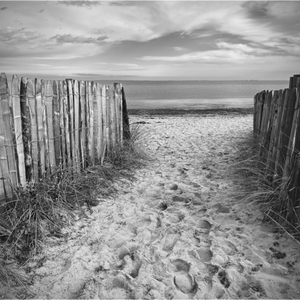 Main image Ile de Ré 1