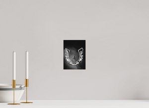 15 x 20 cm, Tirage photo sous plexi mat Béyoncé