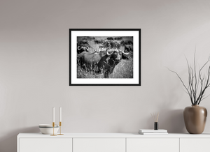 60 x 45 cm, Tirage photo Fine Art + Cadre + Passe-Partout Buffle Tanzanie