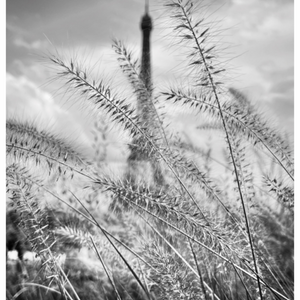 Main image La campagne à Paris