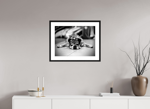 60 x 45 cm, Tirage photo Fine Art + Cadre + Passe-Partout Chien fatigué